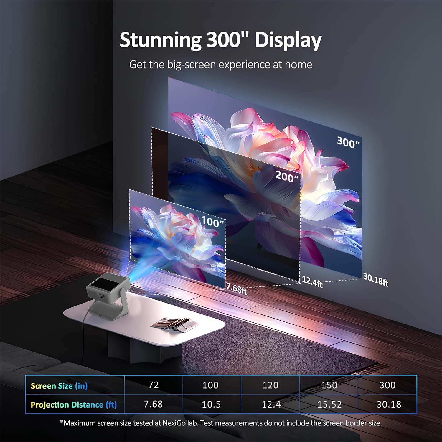 โปรเจคเตอร์พกพาสำหรับกีฬา ปรับ - Home Gym Video บทวิจารณ์และราคา